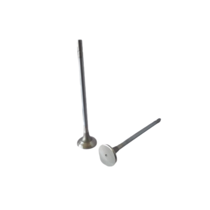 4062 Valve Stack Fast Delivery Aftermarket New Exhaust Valve Kit 4089762 For Cummins C ...